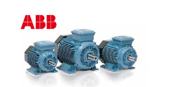 Electric Motor Image 1
